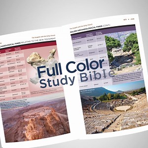 With its decades-long legacy of helping readers grasp the Bible’s meaning, the NIV Study Bible embodies the mission of the NIV translation to be an accurate, readable, and clear guide into Scripture. | NIV Bible