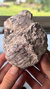 51K views · 55K reactions | Radioactive Easter egg geode 直☢️諸 #crystals #rocks #minerals #geology #geode #quartz #chalcedony | CoralGeodes | Facebook