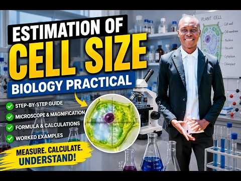 Estimation Of Cell Size | Microscopic Work