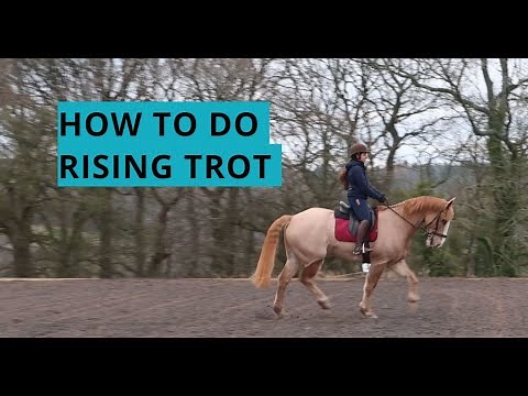 HOW TO DO RISING TROT
