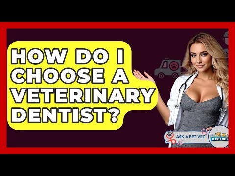 How Do I Choose A Veterinary Dentist? - Ask A Pet Vet