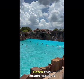 Epic waves at Disney's Typhoon Lagoon!