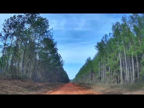 Title: Dirt Road Drive on Travis Road | Keysville, Georgia 🚗🌾