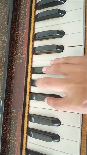 Tumse Milke Dil Ka Jo Haal | Harmonium Cover | Bollywood Song on Harmonium#short