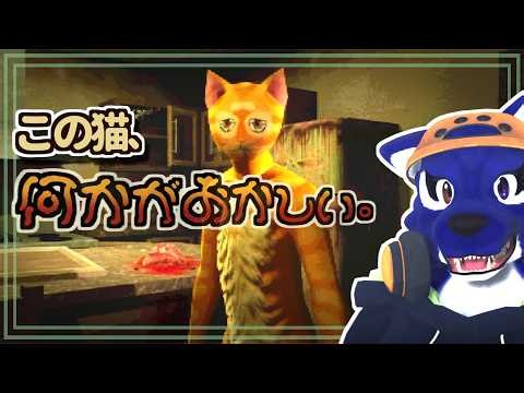 【Cat Named Mojave】この猫、何かがおかしい。砂漠で出会った怪猫が不気味すぎる｜ﾁｷﾝｵｵｶﾐの怪猫調査【#ケモノVtuber】