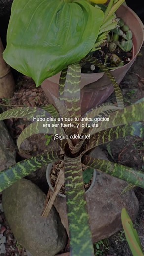 Discover Santa Anita Lodge