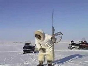 Seal Hunting