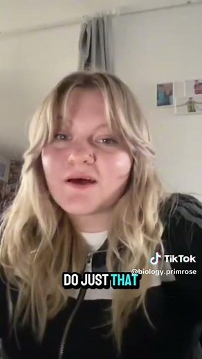 Organising my time in Year 13 using Primrose Kitten