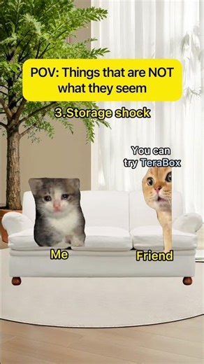 TeraBox: When “free” actually means 1024GB 💀