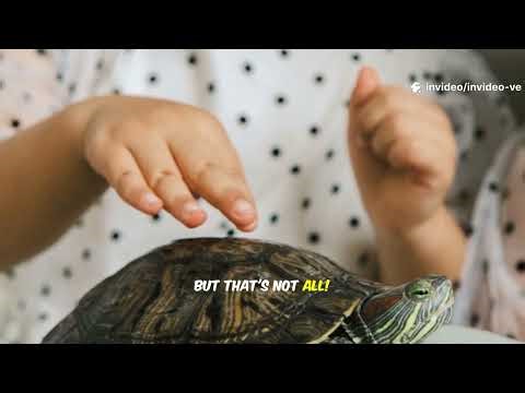 TURTLE SHELL SECRETS: FUN FACTS FOR KIDS!!