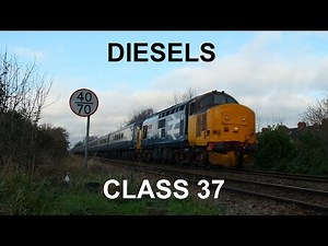 Diesels: Class 37
