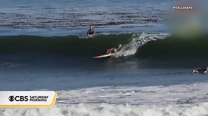 45K views · 1K reactions | Meet Skyler the surfing dog that is catching some pretty big waves and lending a helping paw. The talented pup is providing surf therapy and helping people overcome challenges. Carter Evans caught up with the California legend. | CBS Mornings | Facebook