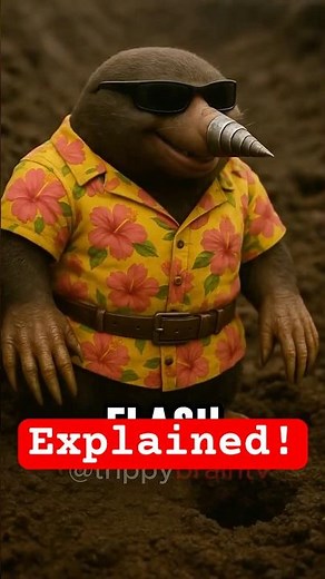 Talpa Di Ferro Cute and Lovely Story #facts #animals #curiosity #tungtungtungsahur
