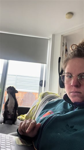 A little bit dramatic #dramatiktok #dramaticdog #dog #dramatic