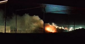 Around 18,000 Cattle Killed and 1 Person Injured After Explosion at Texas Dairy Farm