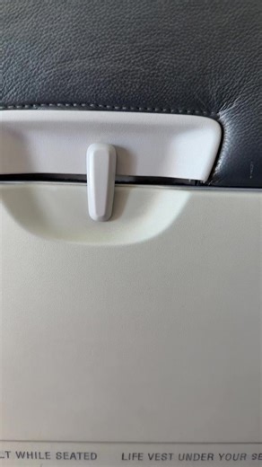 Understanding Emetophobia on Airplanes