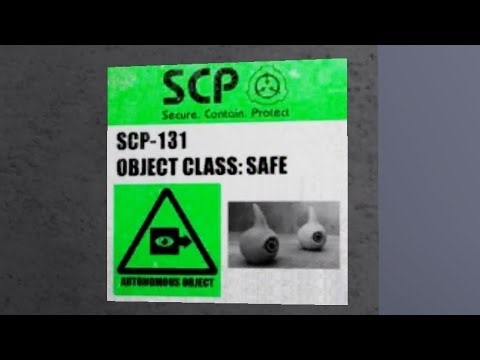 SCP 131