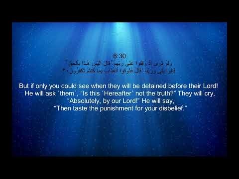 Sheikh Noreen Muhammad Siddiq - Surah 6 Al An'am / الشيخ نورين محمد صديق - سورة ٦ الأنعَام