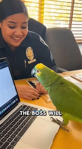 Parrot hacks Police Computer to Ask for a RAISE! 🦜💸