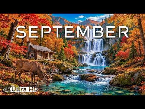 4K September Autumn Serenity 🍂 Golden Forests, Quiet Lakes and the First Colors of Fall