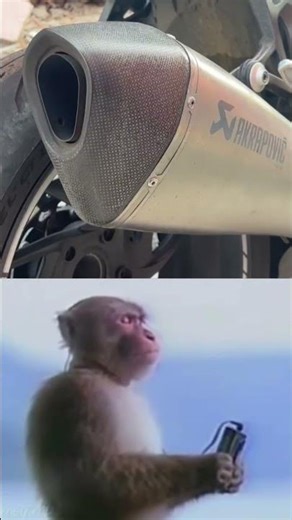 Relax time #viral #motorcycle #biker #akrapovic #bmw #exhaust #trend #shorts
