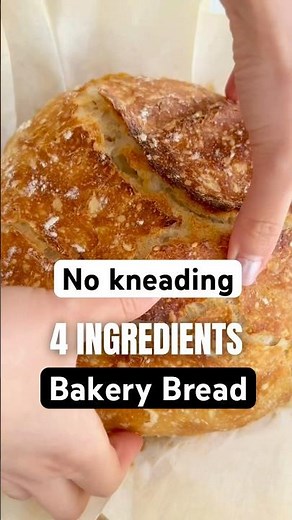 No Knead Bread in 4 Ingredients (Easier Than You Think!)