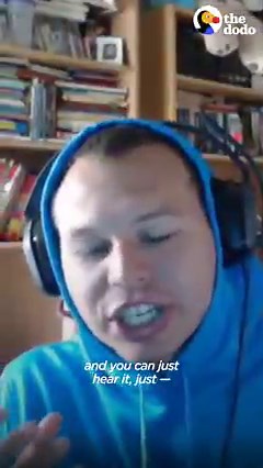 This dog is obsessed with balls - watch how dramatic things get when he loses his favorite ball 🎾 🐶 | The Dodo