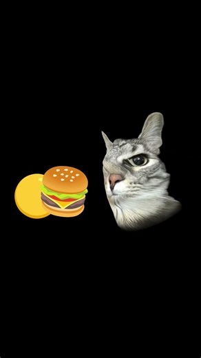 hey kitty I have cheese burger