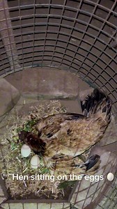 Kro check Ji | Sh On Ki