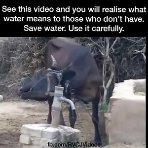 65K views · 1.3K shares | Save Water, Save Life! | Rajnikant V/s CID Jokes Videos | Facebook