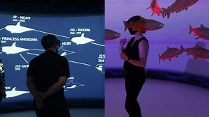 1.3M views | HoloLens2 illustrates the Critical Distance between the future of an orca named Kiki--and ours. | Microsoft | Facebook