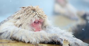 "世界史のなかの" 日本史のまとめ　第1話　日本列島の誕生と日本列島人の到達（約700万年前～前12000年）