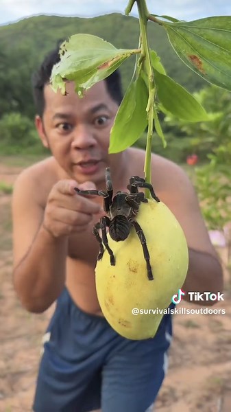 Essential Bushcraft Skills for Forest Survival