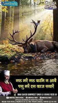 Amritvela Trust Live Today| Insan