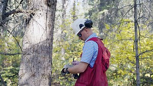 Forester: Occupations in Alberta - alis