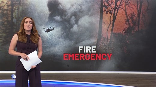 Here’s what made headlines today: There are fears of homes lost in Victoria's Otway Ranges after fires broke out in towns West of Melbourne. Gellibrand and Carlisle River were the two communities in the path of the fire's fury as six major blazes burnt across Victoria. Meanwhile South Australia continues to swelter through a heatwave as authorities warn the worst is yet to come. Another American has been shot dead in Minnesota while protesting against President Trump’s immigration crackdown. | 1