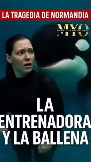 Gemini 2.5 Flash Conversación con Gemini Corrige y crea para un post hemos visto un video supuestamente de "Jessica y la Ballena" Segun el relato es que la ballena quien tenia mucha acercaría con su entrenadora, estaría en sus días, esto sería la causa del vil ataque fatal para Jessica. asi como hay otras fuentes que desmiente el video afirmando que fue creado con iA. Comenta tu que opinas ? El caso del video viral de "Jessica y la Ballena" El video viral que circula en redes sociales, conocido 