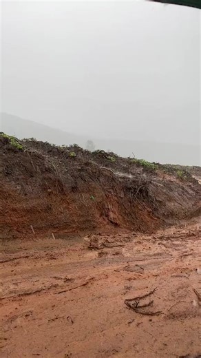 Vida no Campo on Reels