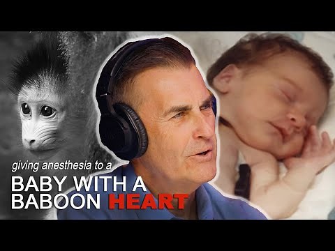 Baby Fae's Baboon Heart Transplant (from the perspective of the Anesthesiologist)