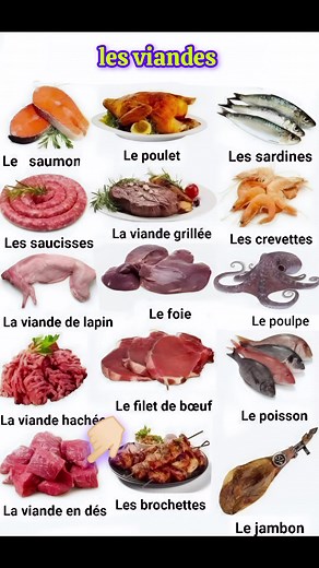 Types de viandes et de produits de la mer #reelsvideoシ #lifestyle #reelsfbシ | Pour apprendre le français couramment