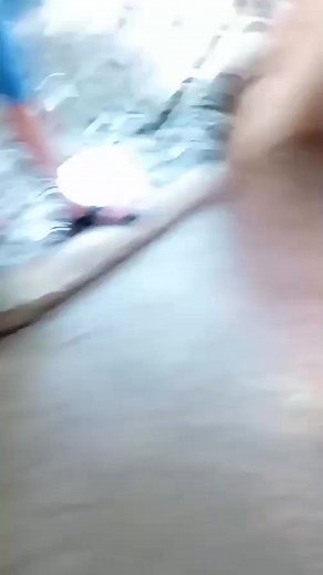 another close up semen collection  | BoarOperator TV | Facebook