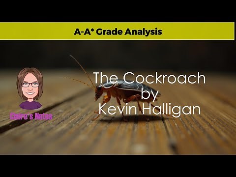 Maximize Your Exam Marks with 'The Cockroach' by Kevin Halligan: Key Themes Explained
