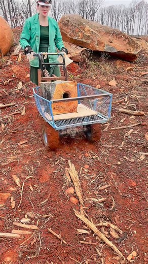 Kala on Instagram: "What should I use it for? #murderhole #engineering #mining #minecraft #quarry #castle #stonesplitting #diabase"