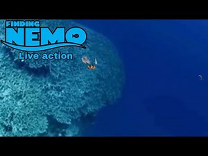 Buscando a Nemo/ live action/ parte 3