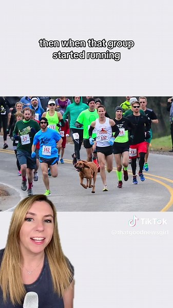 Dog Accidentally Runs Half Marathon and Wins 7th Place