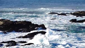 201 reactions · 49 shares | Love the turbulent surf. | Howard Johnson Marina at Monterey Bay | Facebook