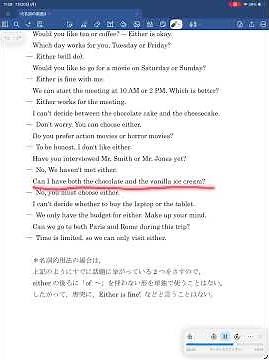 代名詞237(不定代名詞either 2 名詞的用法1)