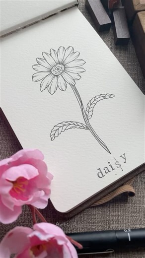 50K views · 207 reactions | Draw with me ✍️ Flower - Daisy  . Step...