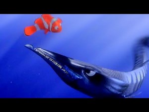 FINDING NEMO - BARRACUDA VS MARLIN | FIGHTING SCENE | SPONSORED BY GAMAVISION