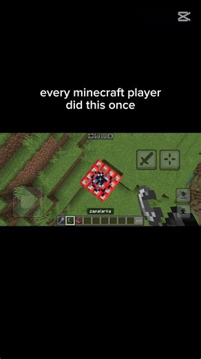 EVERY MINECRAFT PLAYER DID THIS #shorts